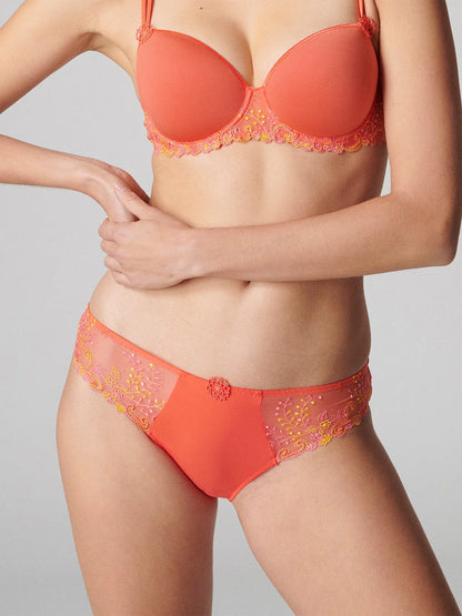 Women is wearing Delice Embroidered Brief front picture with matching spacer bra(sold separately) 